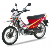2007 Sym RV1 photo